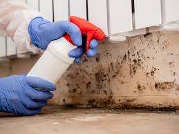 Best Real Estate Mold Inspection in Wewa, OK